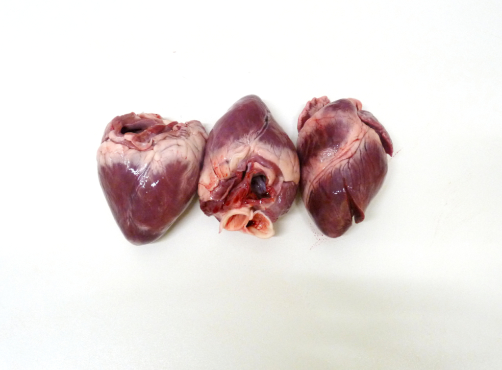 Cœur Porc 1 kg (Origine France)
