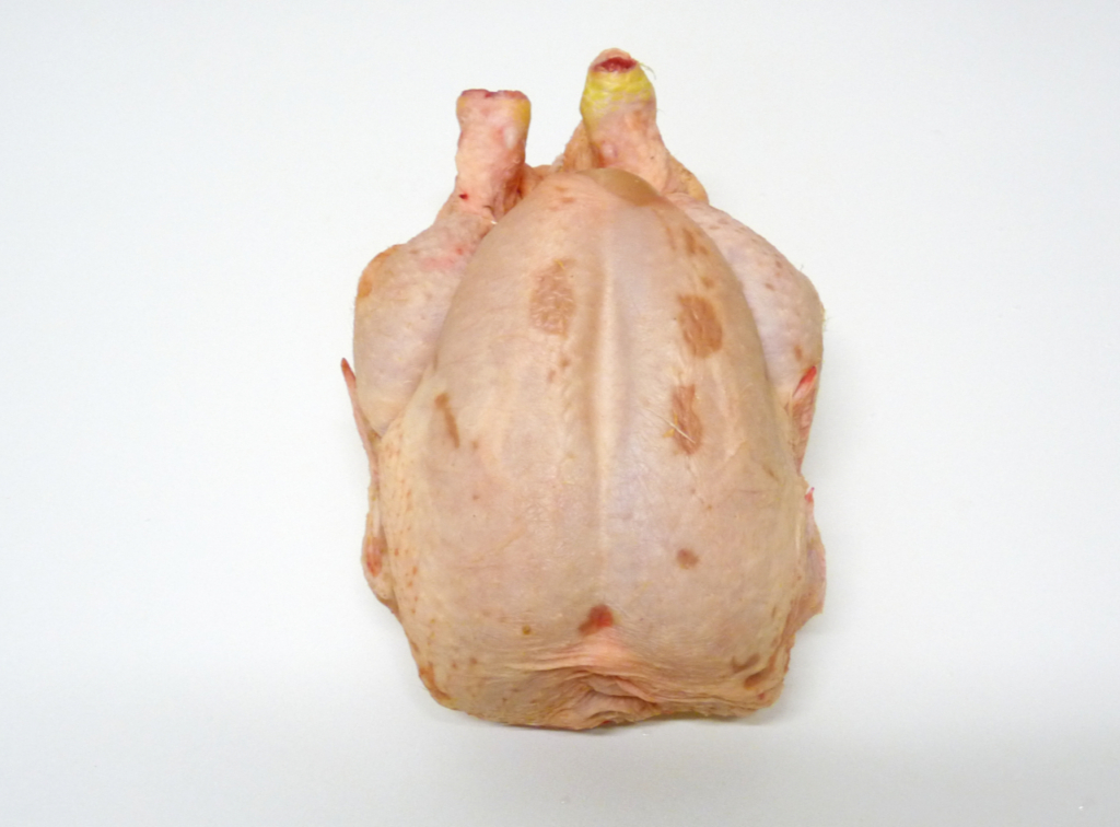 Poule Sol