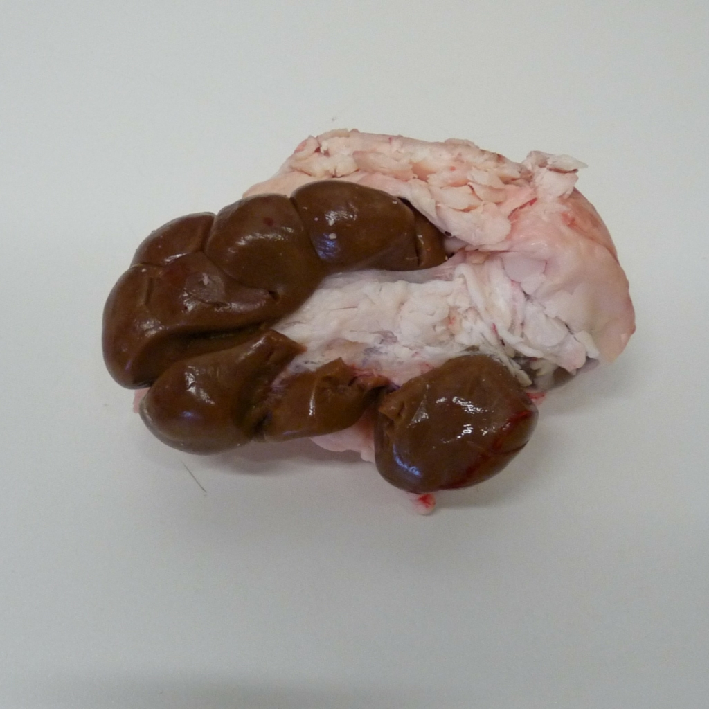 Rognons Veau
