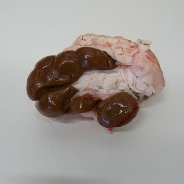 Rognons Veau (Origine France)